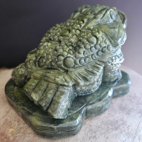 Xiuyu Jade Money Toad | Large