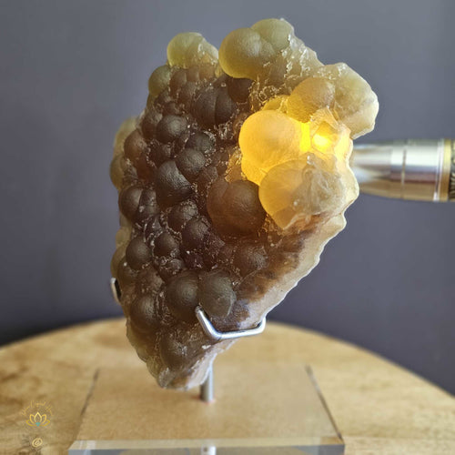 Yellow Botryoidal Fluorite | Golden Solstice 1.78kgs