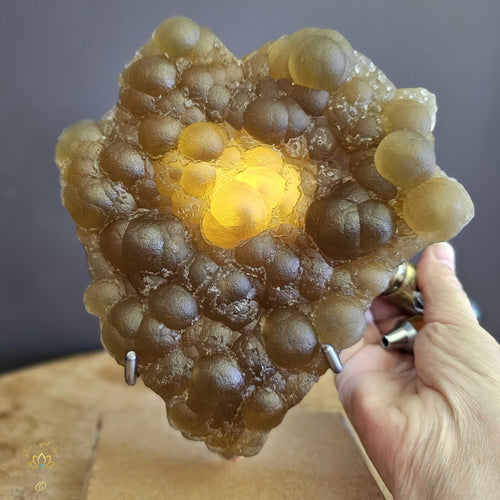 Yellow Botryoidal Fluorite | Golden Solstice 1.78kgs