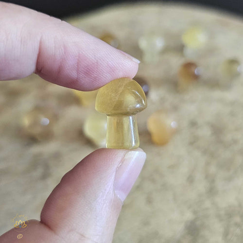 Yellow Fluorite Mini Mushrooms