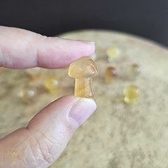 Yellow Fluorite Mini Mushrooms