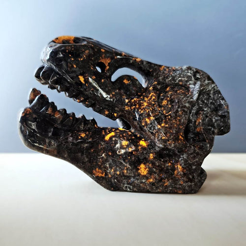 Yooperlite Dinosaur Skull | The Prehistoric Protector