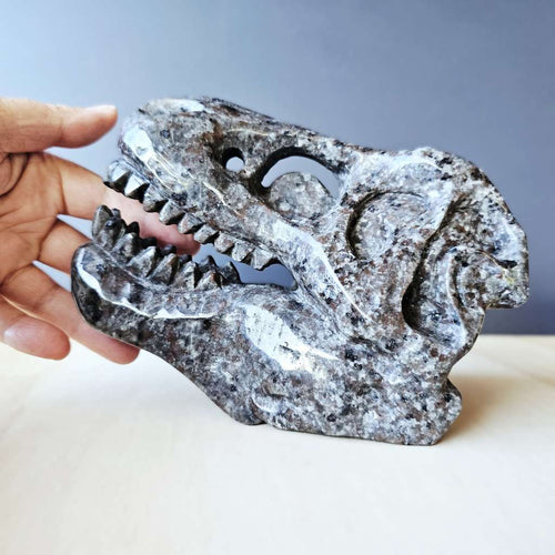 Yooperlite Dinosaur Skull | The Prehistoric Protector