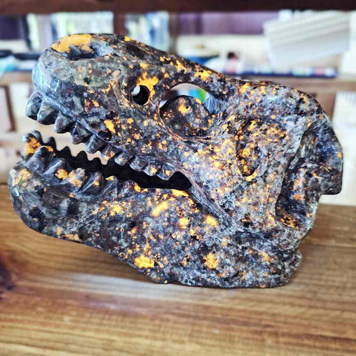 Yooperlite Dinosaur Skull | The Prehistoric Protector