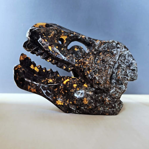 Yooperlite Dinosaur Skull | The Prehistoric Protector