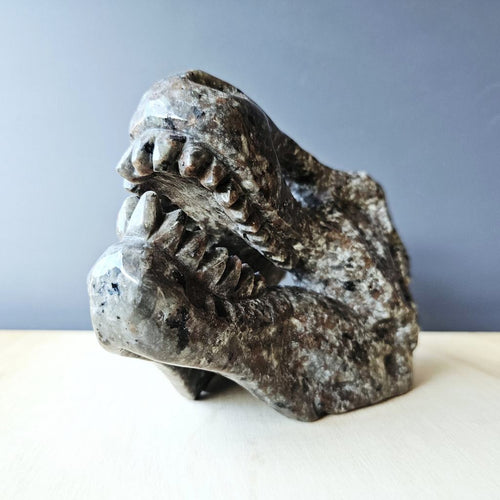 Yooperlite Dinosaur Skull | The Prehistoric Protector