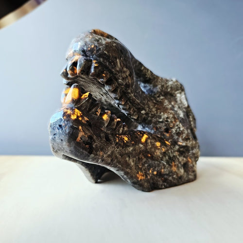Yooperlite Dinosaur Skull | The Prehistoric Protector