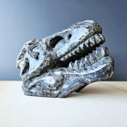 Yooperlite Dinosaur Skull | The Prehistoric Protector