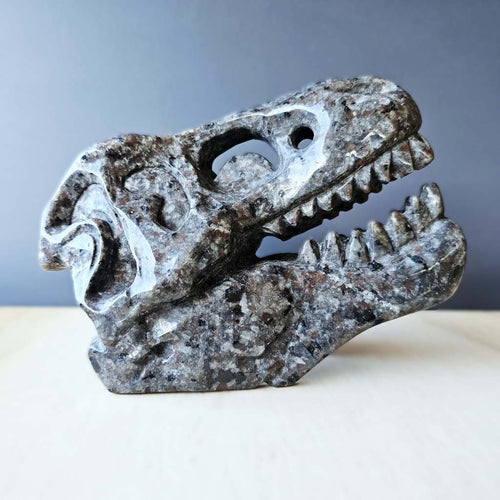 Yooperlite Dinosaur Skull | The Prehistoric Protector