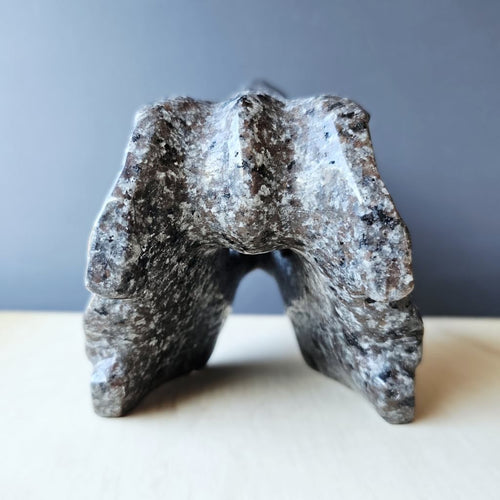 Yooperlite Dinosaur Skull | The Prehistoric Protector