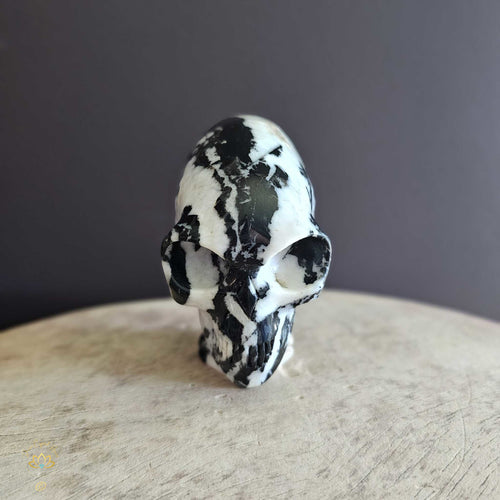 Zebra Jasper Alien Skull | Loyal Guardian