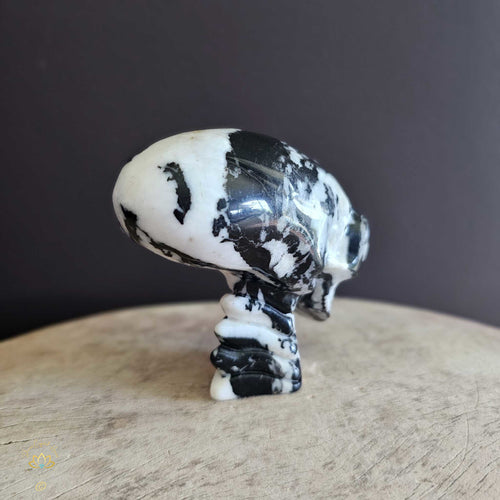 Zebra Jasper Alien Skull | Loyal Guardian