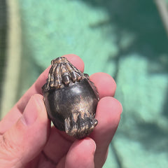 Rainbow Sunstone & Black Moonstone Dragon Turtle | Rainbow Longgui