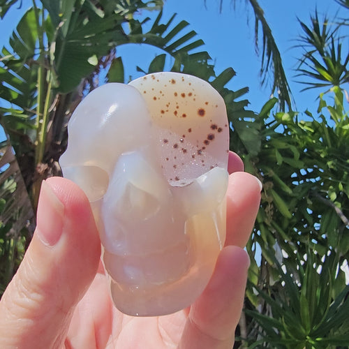 Druzy Agate Skull | Crystal Cave Guardian