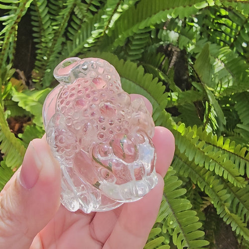 Brazilian Quartz Money Toad | Guardian Of Prosperity