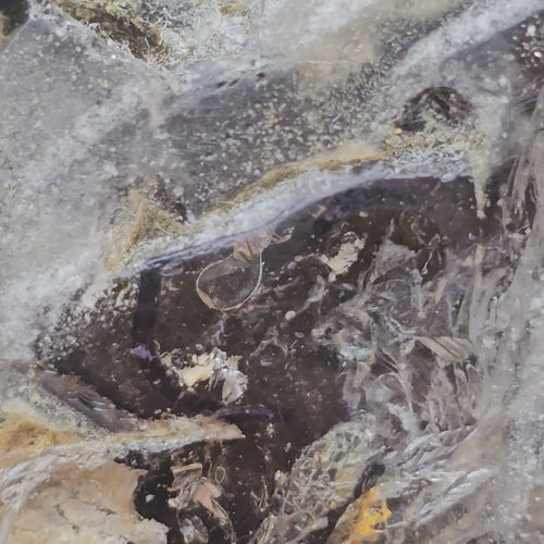 Smoky Quartz With Enhydro | The Hidden Current