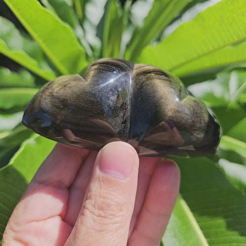 Gold Sheen Obsidian | Twin Heart 136gms