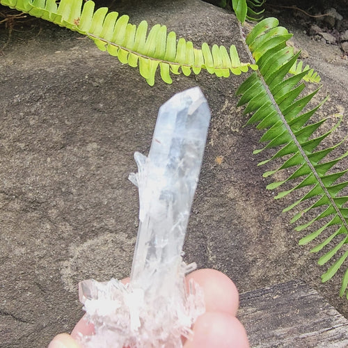 Columbian Quartz Cluster | Blue Rutile Sprays Of Light