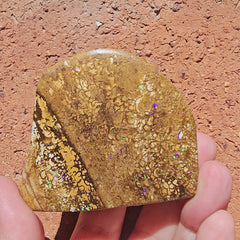 Rare Large Blonde Yowah Nut Opal | Freestanding Polished Specimen 420 Cts