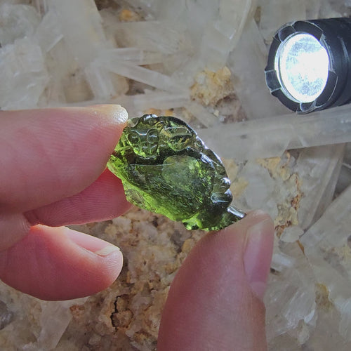 Moldavite | Dragon Carving 6g