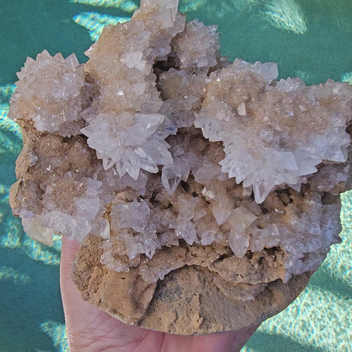 Dogtooth Calcite Stalactite Specimen | The Ascended Layer