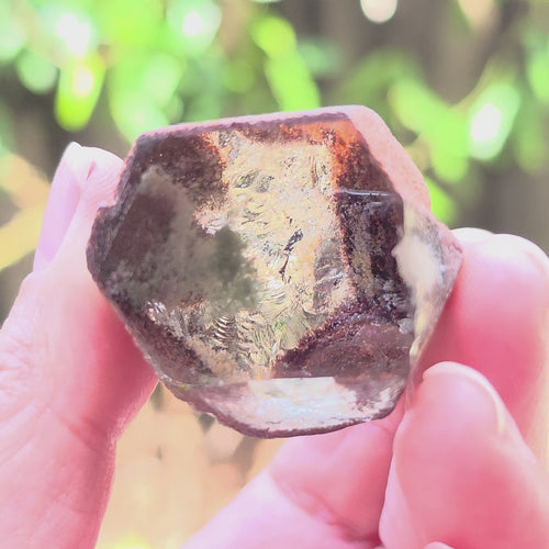 Inclusion Quartz Cut-Termination Crystal | Earth Within