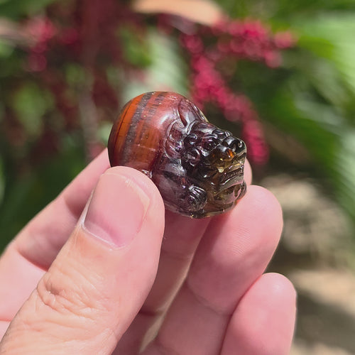Auralite 23 Pixiu | 23 Intentions
