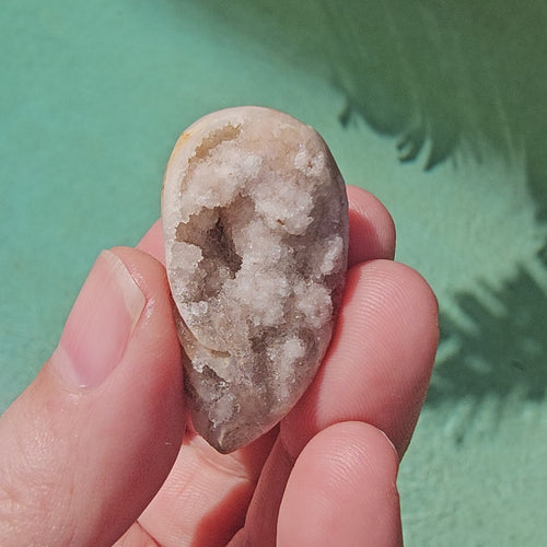 Spiralite Shell With Druzy Quartz | Tethyan Relic