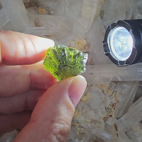 Moldavite | Dragon Carving 4g