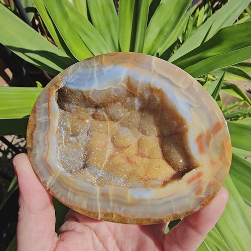 Carnelian Druzy Geode| Timeless Flow