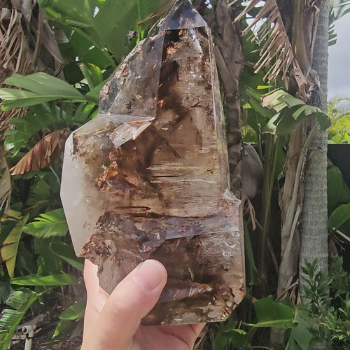 Smoky & Inclusion Quartz Faceted Freeform| Smoky Horizon