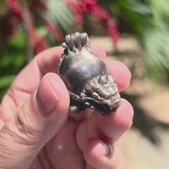 Rainbow Sunstone & Black Moonstone Dragon Turtle | Rainbow Longgui