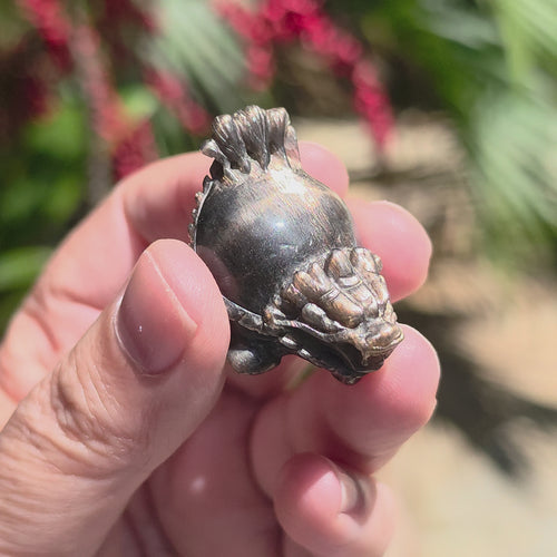 Rainbow Sunstone & Black Moonstone Dragon Turtle | Rainbow Longgui