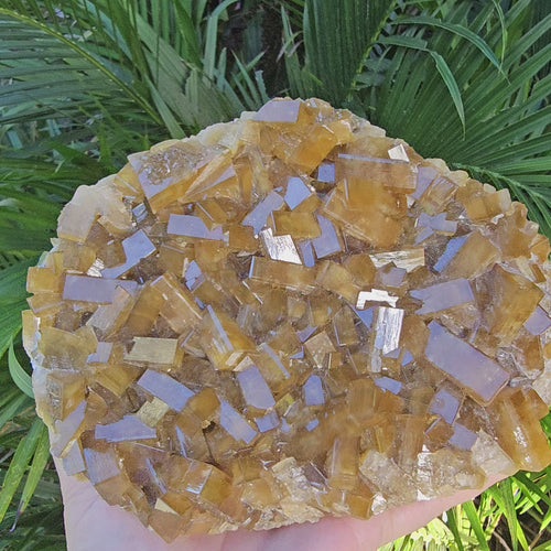 Golden Barite Specimen | Tabular Fields Of Gold