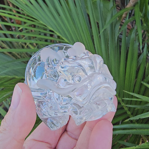 Brazilian Clear Quartz Dragon Turtle | The Quartz Guardian