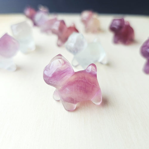 Rainbow Fluorite Cats| Rainbow Mystics