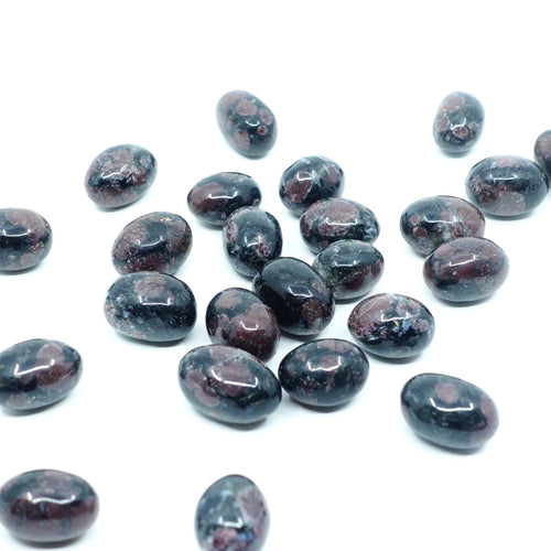 Arfvedsonite with Garnet Tumbled Stones