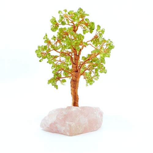 Prehnite Crystal Tree | Illumination