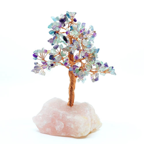 Rainbow Fluorite Crystal Tree | Clarity